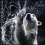 iBear