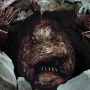 olan
