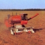 т-111