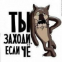 vlignatov