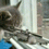 momb