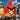 angrybird