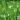 online1