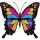 CyprusButterfly