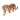 Tigr