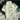 XmaXtoR