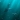 LostDolphin