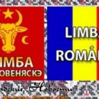 В Молдавии КС признал государственным языком румынский вместо молдавского