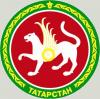 Казанские добровольцы в Новороссии