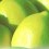 philiplime