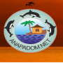 Anapadom