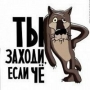 vityagromm