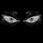 Evil Russian 12893