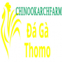 dagachinoo