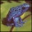 frog88