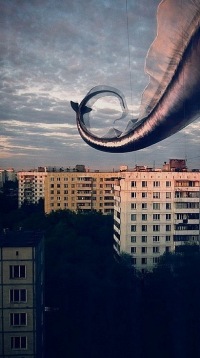 Никита Гловацкий