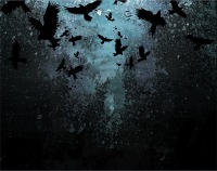 Вова Гладкий