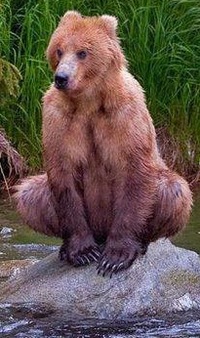 Иван Кузнецов 88620