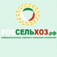 Павел Селин