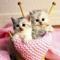 Оксана Глуховцева