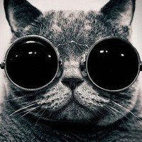 Васиван Дорн