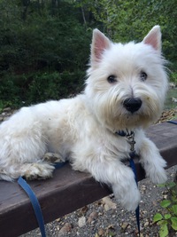 Наталья Иванова 87746