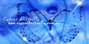 CyprusButterfly