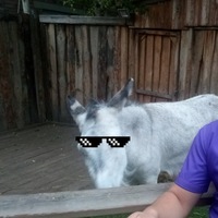 Евгений Лошкарев