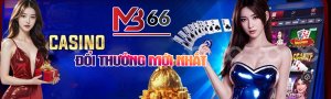 mb66winlive