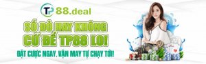 tp88deal