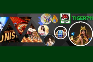 tiger711wiki