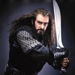 TorinOakenShield