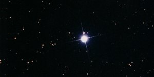 Factum Regulus