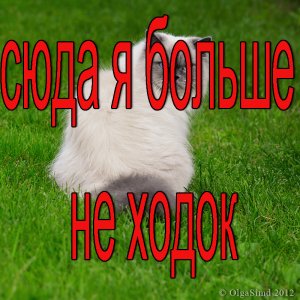 Zmei Garrinich