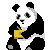 xiongmao