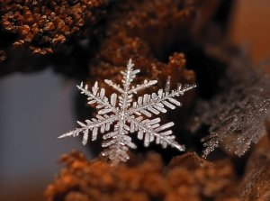 ice1