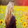 Lesia_V