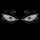 Evil Russian 12893