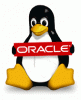 Oracle выпустит свой Linux дистрибутив
