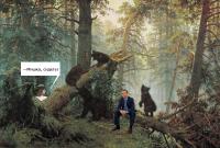 -Мишка, сидеть!