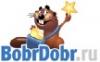 БобрДобр открыл свой API для талантливых разработчиков
