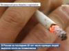 Сегодня Всемирный день отказа от курения