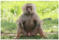 Пиар, но познавательный