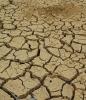 На северо-западе Китая сильнейшая за последние 35 лет засуха