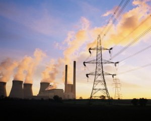 Мир спасут микробы?