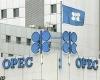 Нефтяная корзина ОПЕК упала на 6%