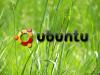 [тихо и незаметно] Число пользователей Ubuntu Linux достигло 8 миллионов