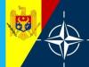 Молдавию уличили в секретных связях с НАТО