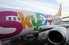 Совладелец аэропорта «Внуково» хочет купить пакет в Sky Express