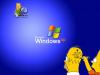 Пиратская Windows оказалась на 43 процента нестабильнее лицензионной